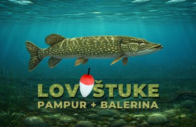 Lov štuke kederom balerina sistem pampur