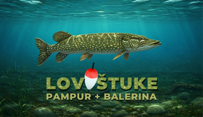 Lov štuke kederom balerina sistem pampur