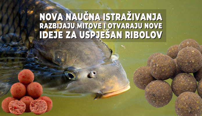 Šaran u vodi pored boila – biljni i animalni mamci za uspješan ribolov