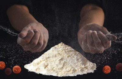 Praškasti sastojci i osnovne komponente za izradu boila u modernom šaranskom ribolovu